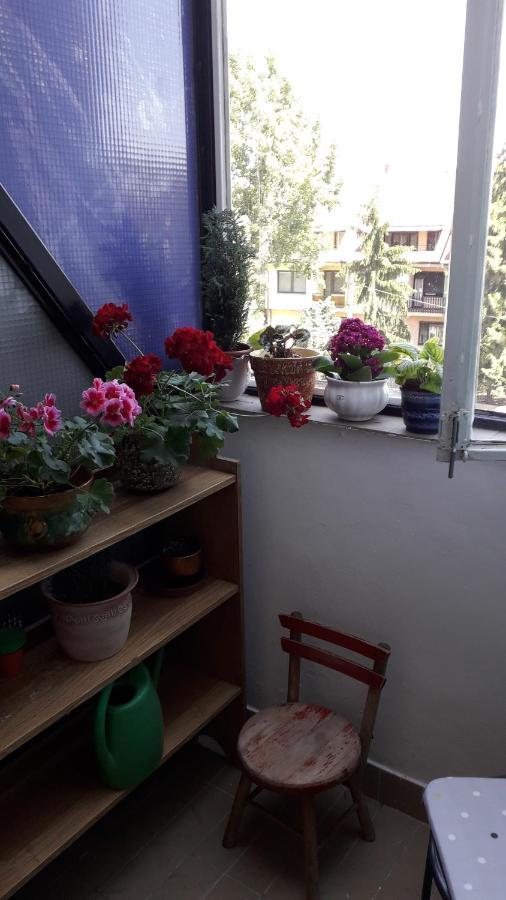 Annika Apartman Eger Bagian luar foto